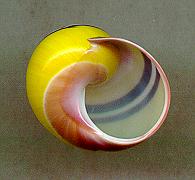 roseolimbata