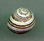 versiD.jpg (15173 bytes)